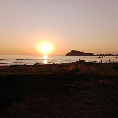 The Beach Bungalows & Turtle Sanctuary 佩母得兰 外观 照片