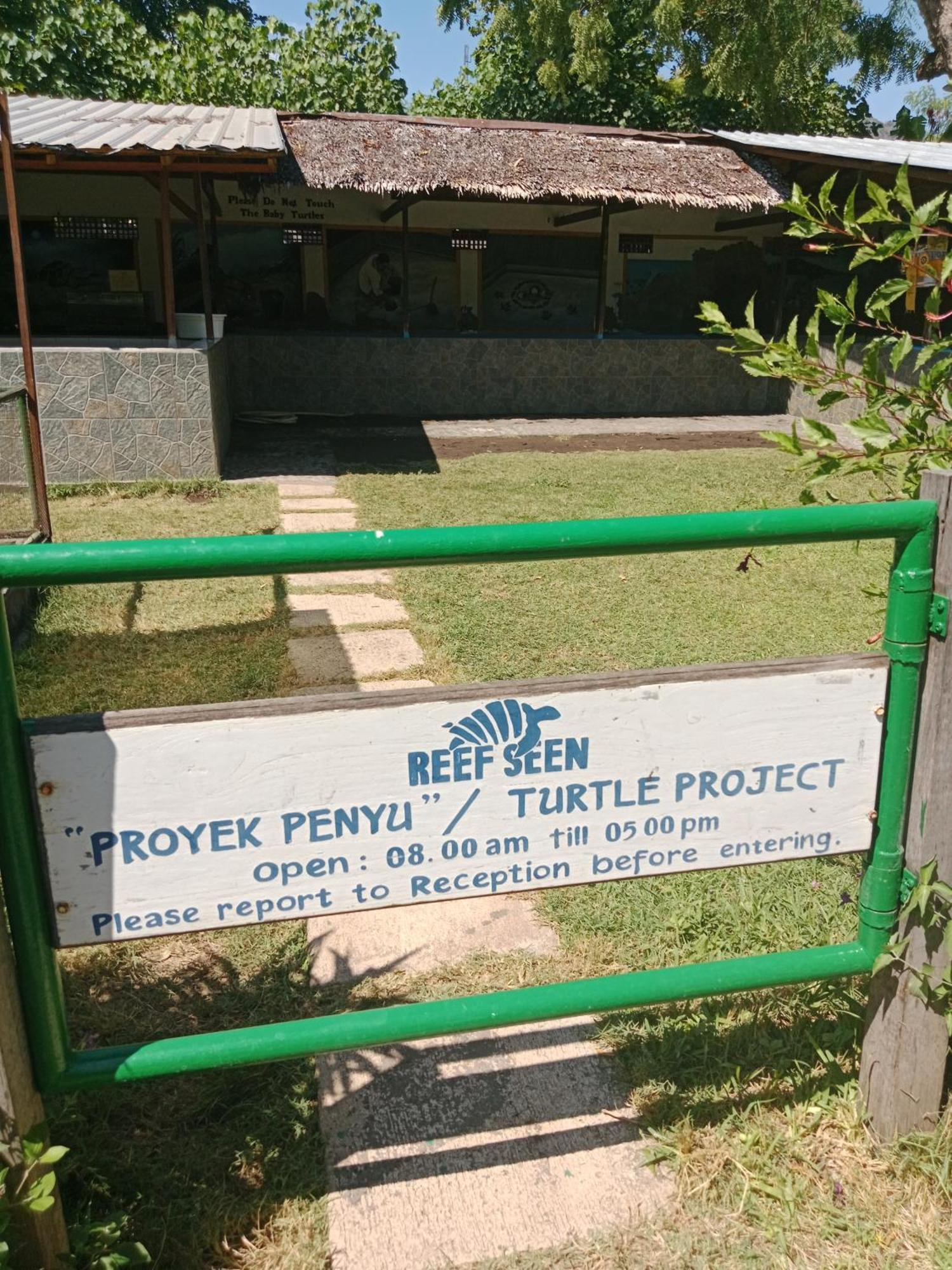 The Beach Bungalows & Turtle Sanctuary 佩母得兰 外观 照片