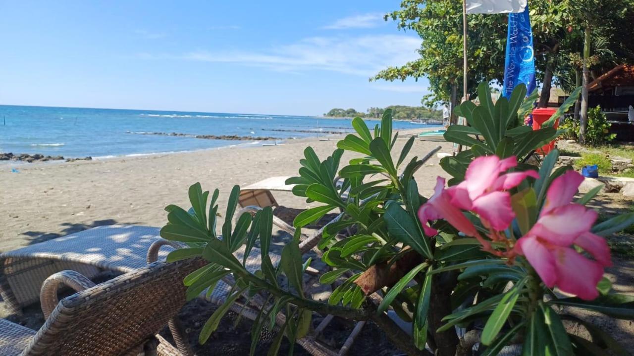The Beach Bungalows & Turtle Sanctuary 佩母得兰 外观 照片
