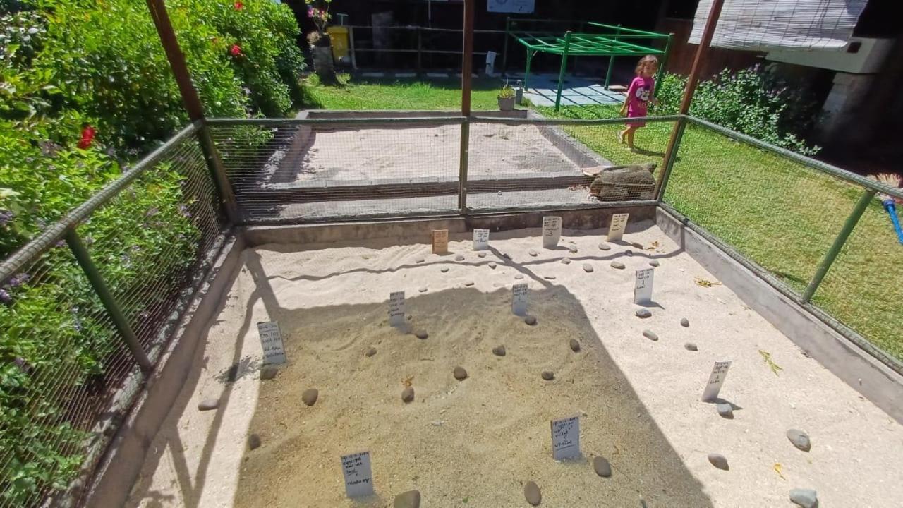 The Beach Bungalows & Turtle Sanctuary 佩母得兰 外观 照片