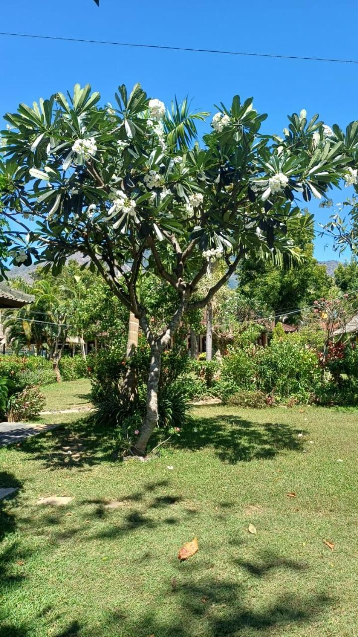 The Beach Bungalows & Turtle Sanctuary 佩母得兰 外观 照片